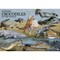 Wild Science WILD Science, Environmental Science, Extreme Crocodiles of the World, For Ages 6+ WES946 - alternate 2